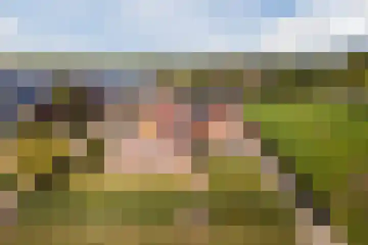 Schapendrift 9 Dalfsen thumbnail 5