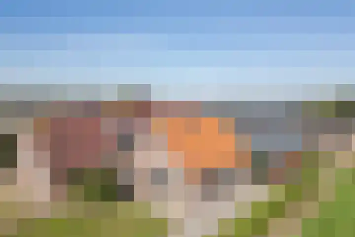 Schapendrift 9 Dalfsen thumbnail 50