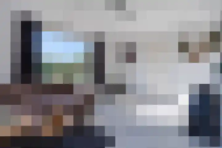 Schapendrift 9 Dalfsen thumbnail 54