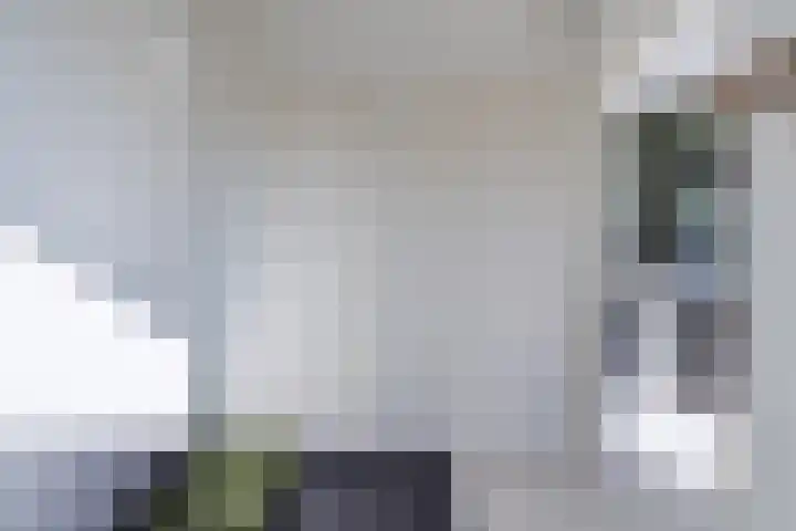 Schapendrift 9 Dalfsen thumbnail 57