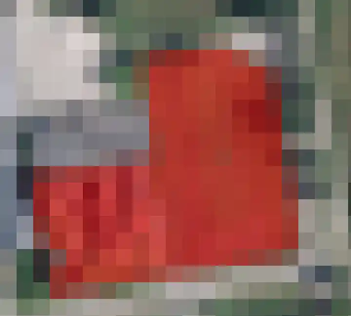 Schapendrift 9 Dalfsen thumbnail 6