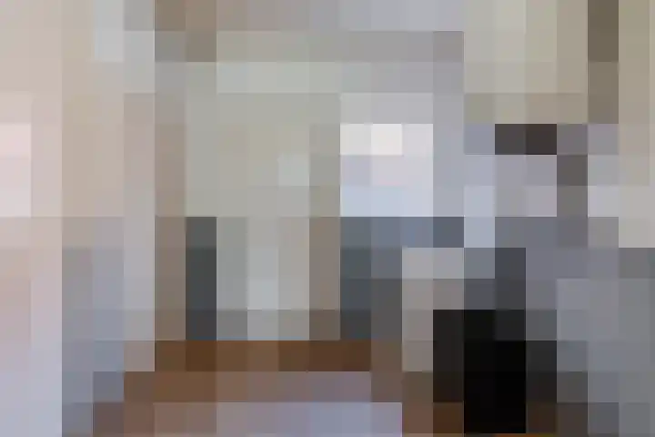 Schapendrift 9 Dalfsen thumbnail 62