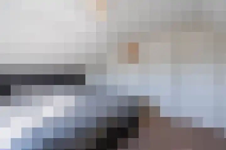 Schapendrift 9 Dalfsen thumbnail 67
