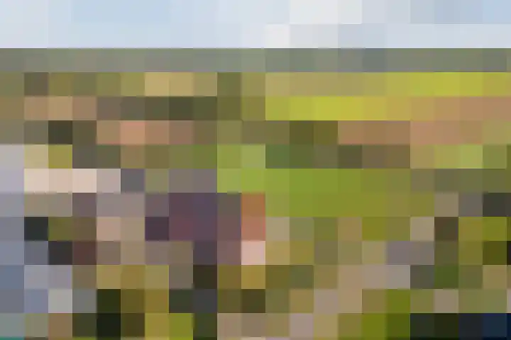 Schapendrift 9 Dalfsen thumbnail 7
