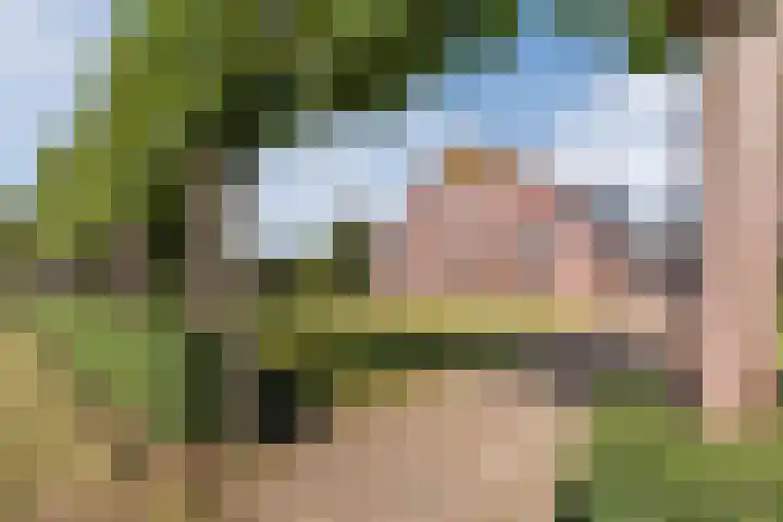 Schapendrift 9 Dalfsen thumbnail 79