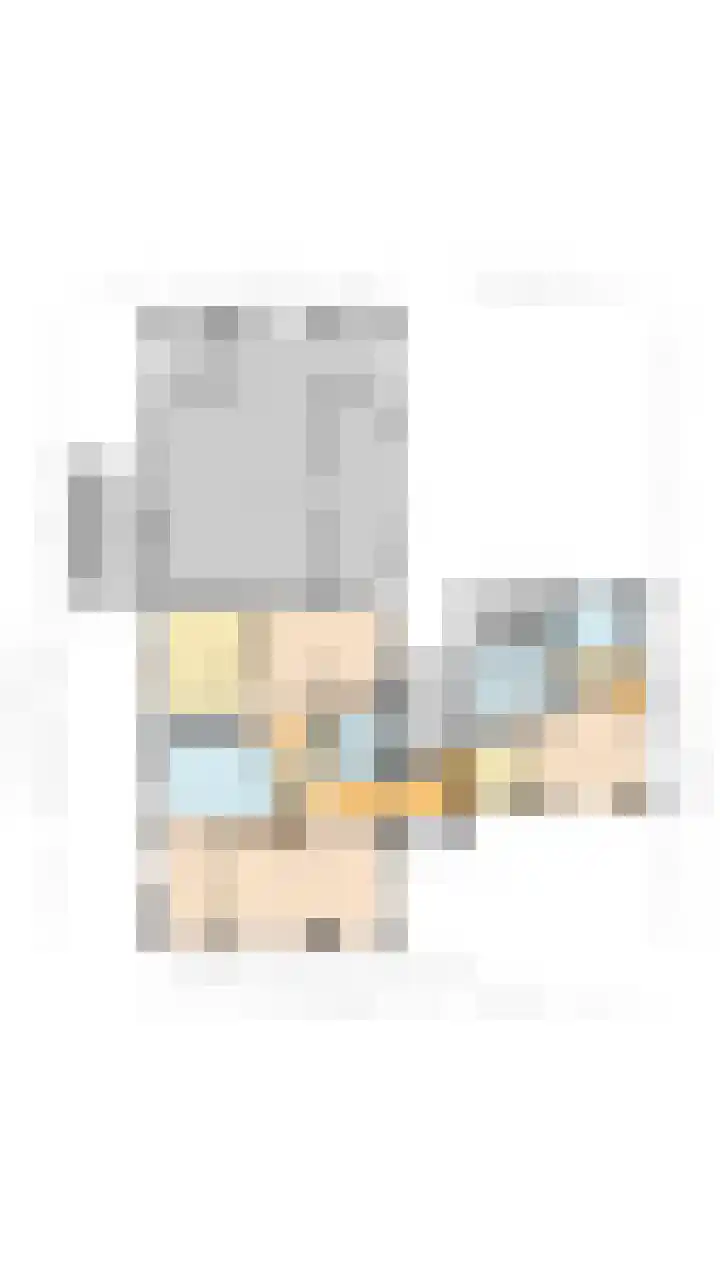 Schapendrift 9 Dalfsen thumbnail 82