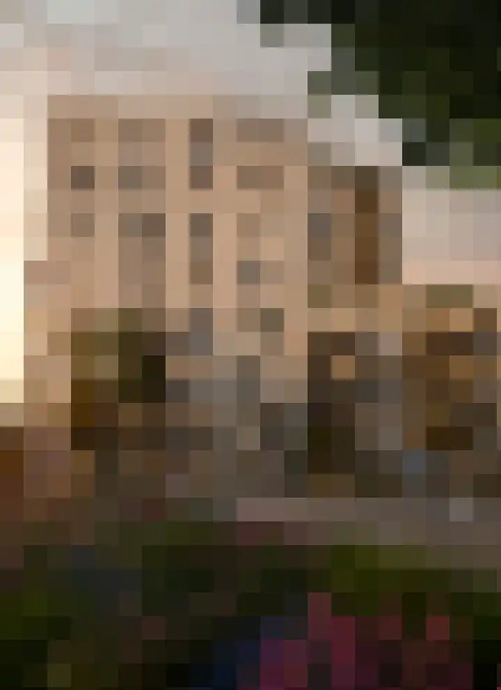 Schapengras 100 Pijnacker thumbnail 6