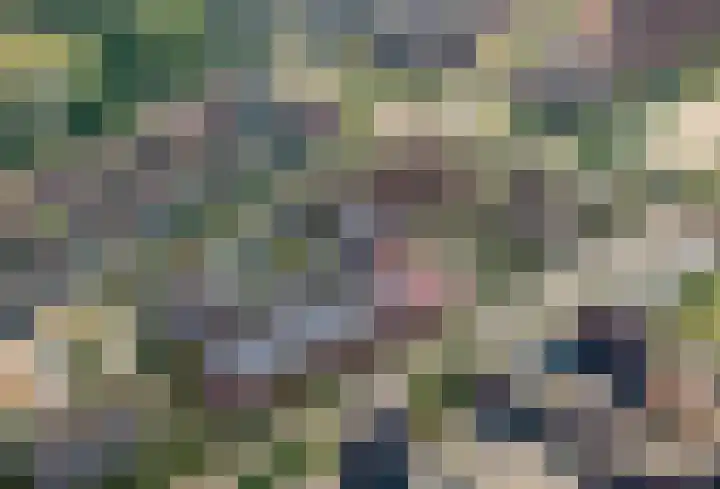 Schapengras 100 Pijnacker thumbnail 9