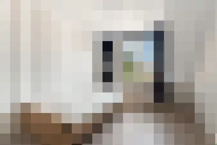Schapenmeent 86 Almere thumbnail 18