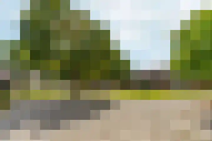 Schapenmeent 86 Almere thumbnail 29
