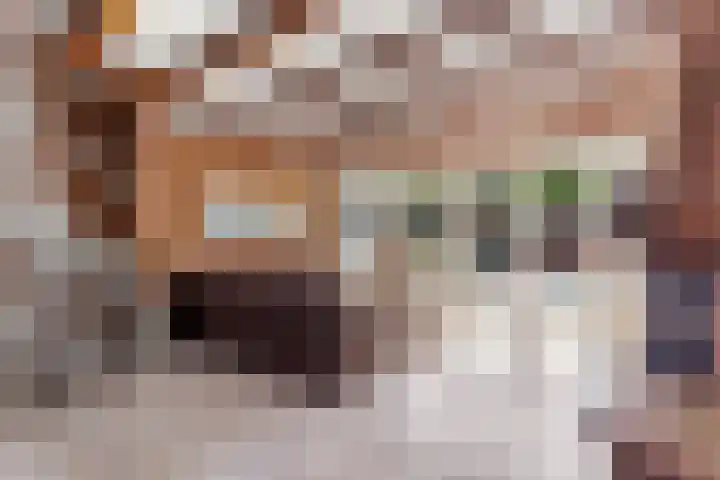 Schapenmeent 86 Almere thumbnail 7