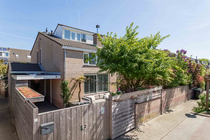 Schapenweide 1 in Leiderdorp foto