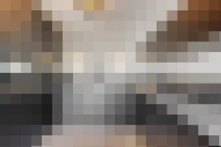 Schapenweide 13 Leiderdorp thumbnail 12