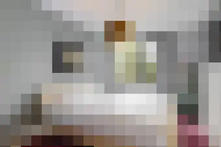 Schapenweide 13 Leiderdorp thumbnail 18