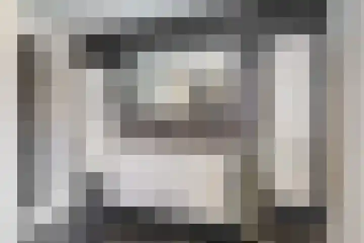 Schapenweide 13 Leiderdorp thumbnail 24