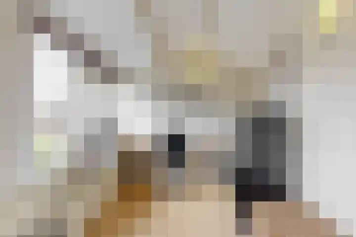 Schapenweide 13 Leiderdorp thumbnail 28