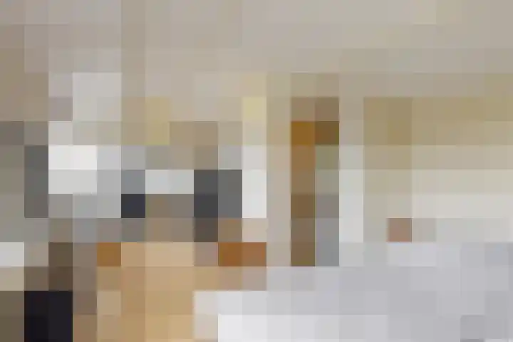 Schapenweide 13 Leiderdorp thumbnail 30