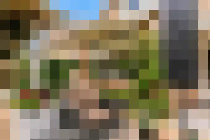 Schapenweide 13 Leiderdorp thumbnail 31