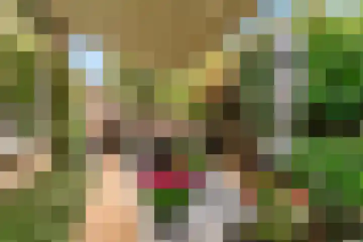 Schapenweide 13 Leiderdorp thumbnail 34