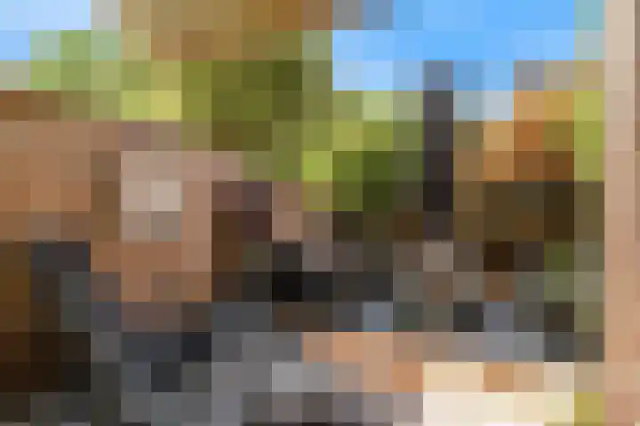 Schapenweide 13 Leiderdorp thumbnail 36