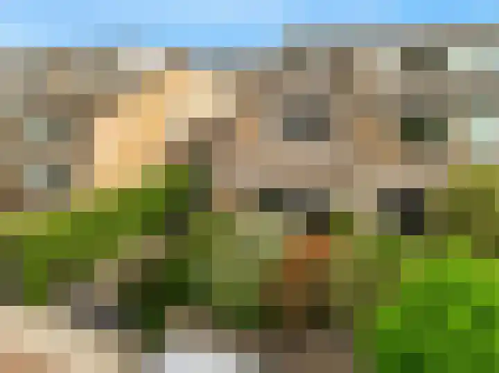 Schapenweide 13 Leiderdorp thumbnail 39