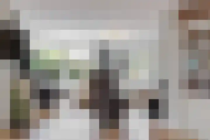 Schapenweide 13 Leiderdorp thumbnail 8