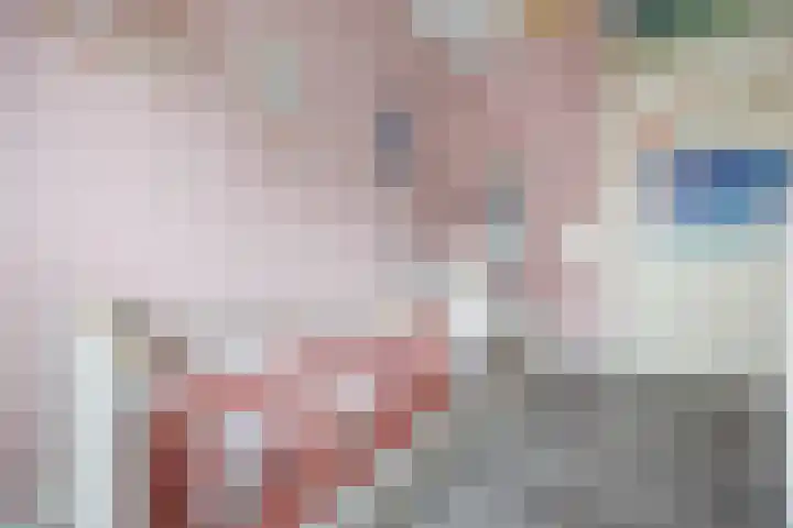 Schapenweide 157 Duiven thumbnail 18