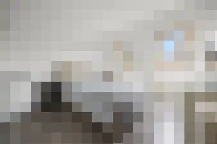 Schapenweide 157 Duiven thumbnail 19