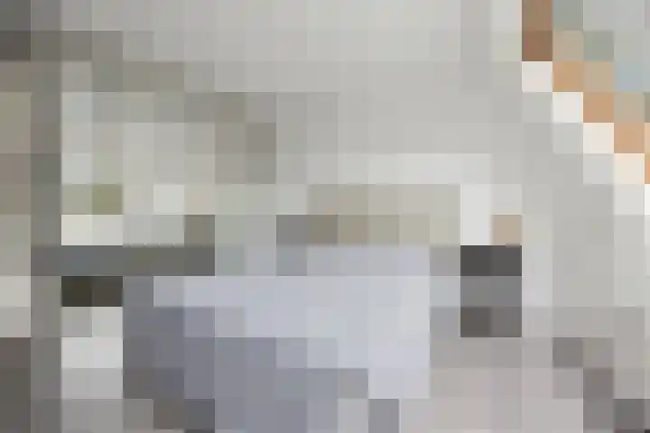 Schapenweide 157 Duiven thumbnail 20