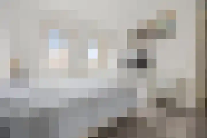 Schapenweide 157 Duiven thumbnail 21