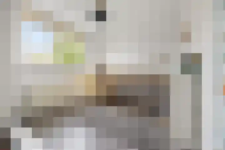 Schapenweide 157 Duiven thumbnail 23