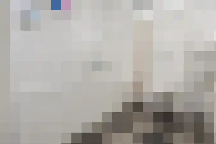 Schapenweide 157 Duiven thumbnail 26