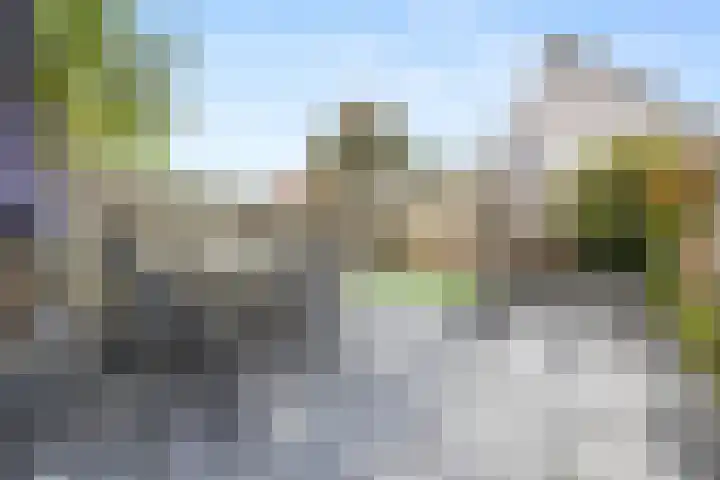 Schapenweide 157 Duiven thumbnail 36