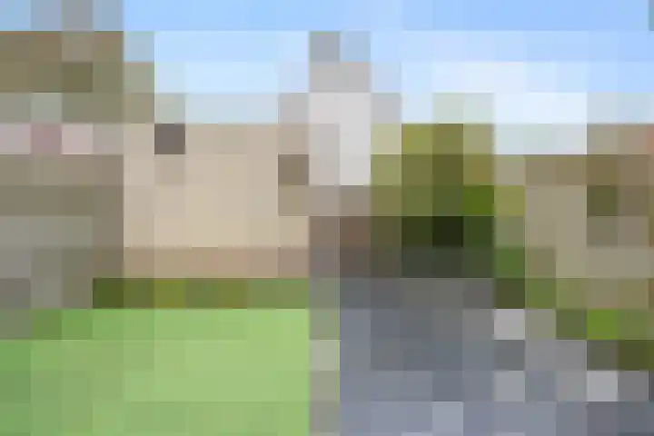 Schapenweide 157 Duiven thumbnail 37