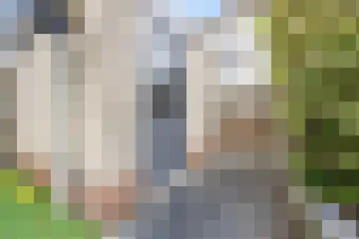 Schapenweide 157 Duiven thumbnail 38