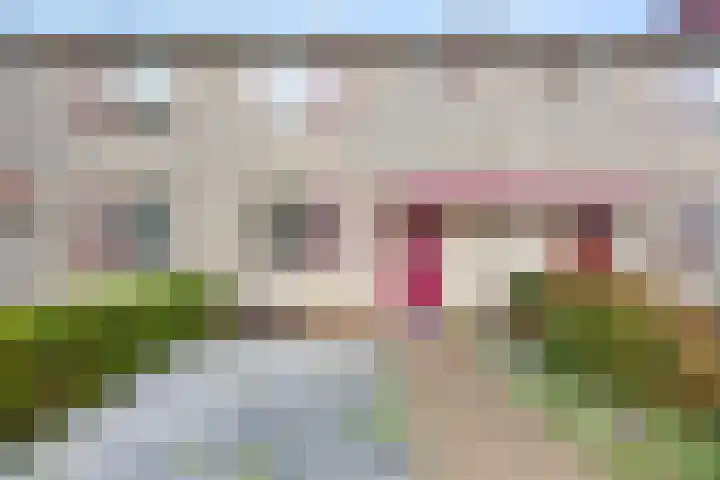 Schapenweide 157 Duiven thumbnail 39