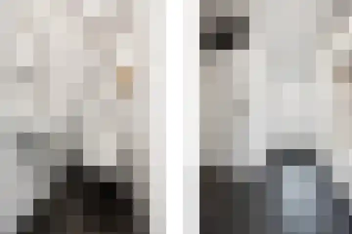 Schapenweide 157 Duiven thumbnail 4
