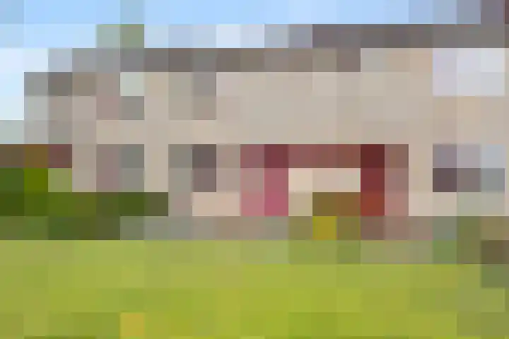 Schapenweide 157 Duiven thumbnail 41