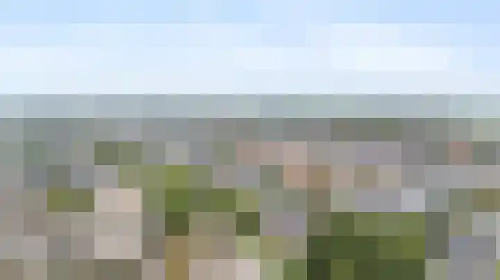 Schapenweide 157 Duiven thumbnail 42