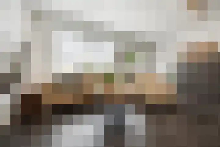 Schapenweide 157 Duiven thumbnail 7