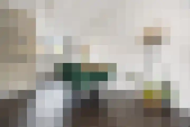 Schapenweide 157 Duiven thumbnail 9