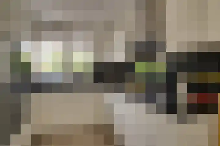 Schapenweide 16 Leiderdorp thumbnail 10