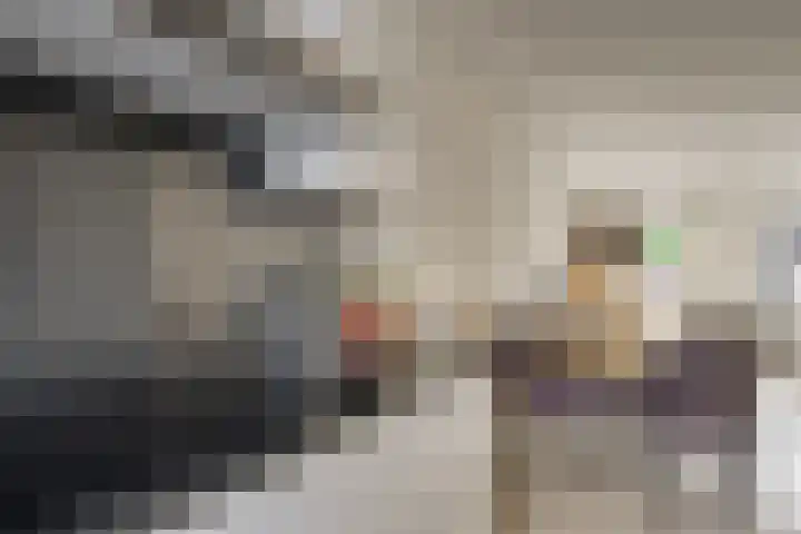Schapenweide 16 Leiderdorp thumbnail 13