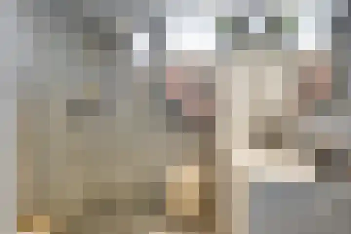 Schapenweide 16 Leiderdorp thumbnail 19