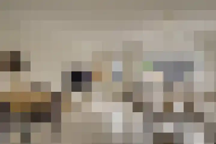 Schapenweide 16 Leiderdorp thumbnail 7