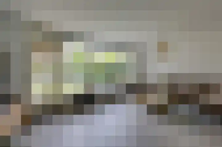 Schapenweide 97 Duiven thumbnail 13