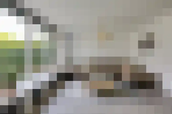 Schapenweide 97 Duiven thumbnail 15