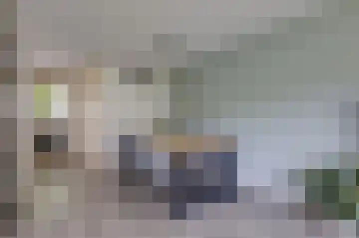 Schapenweide 97 Duiven thumbnail 17