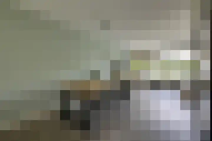Schapenweide 97 Duiven thumbnail 23