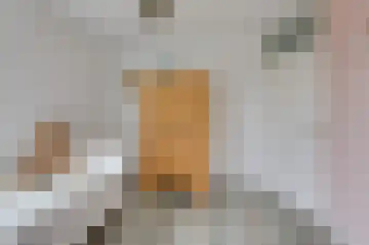 Schapenweide 97 Duiven thumbnail 34